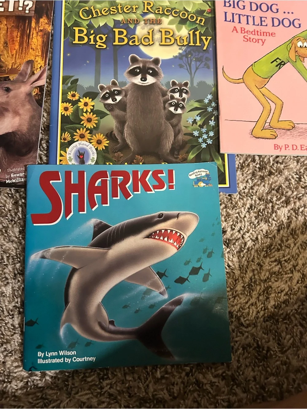 Assorted Kids Picture Books - Lot of 10